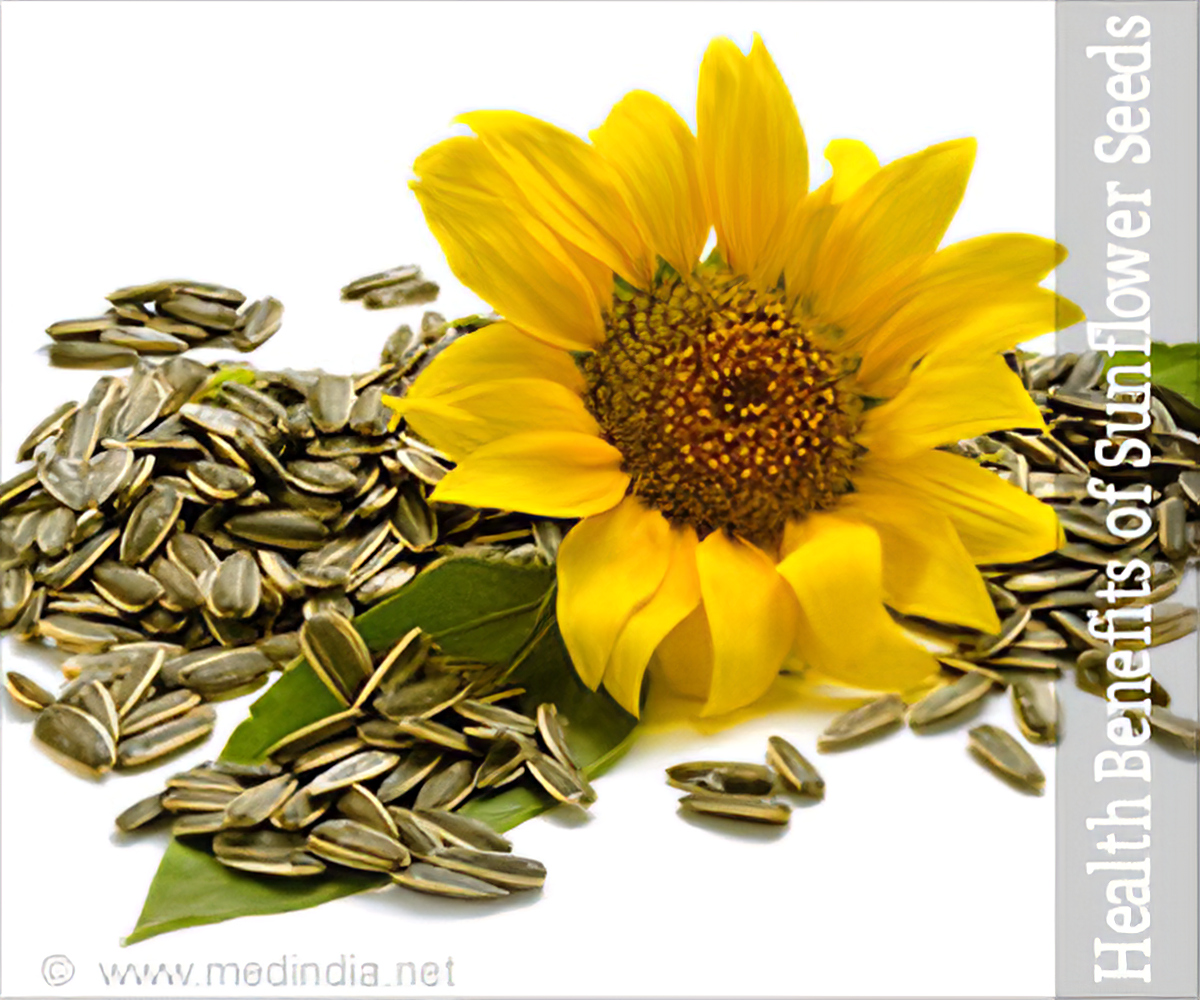 Detail Sunflower With Seeds Images Nomer 23
