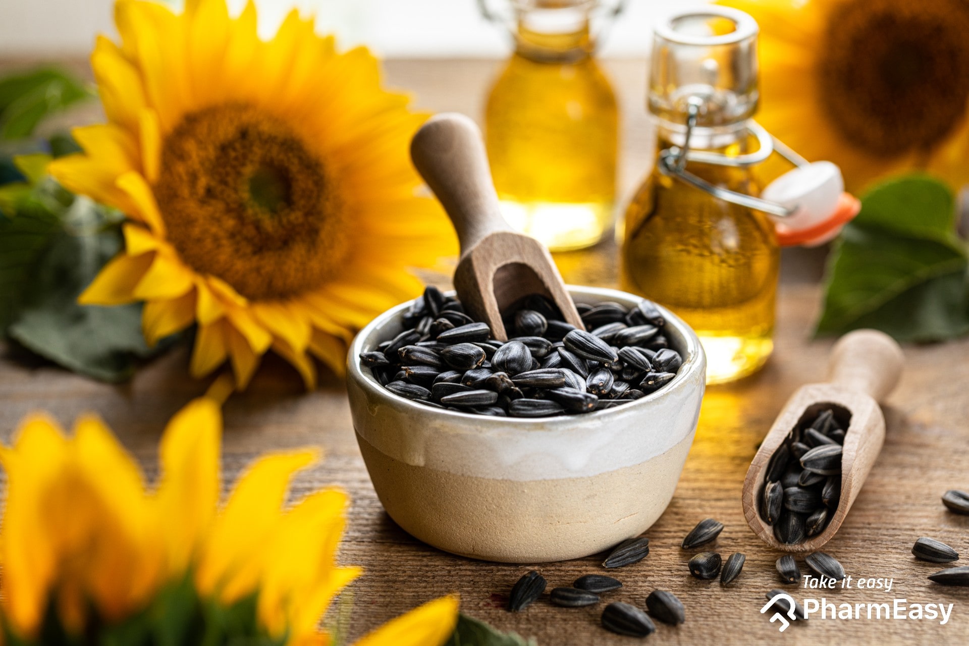 Detail Sunflower With Seeds Images Nomer 38