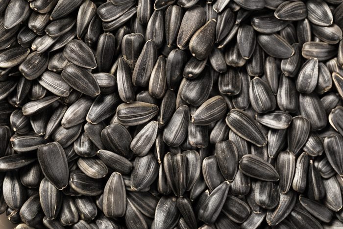 Detail Sunflower With Seeds Images Nomer 50