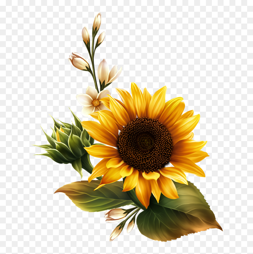 Detail Sunflower Without Background Nomer 17