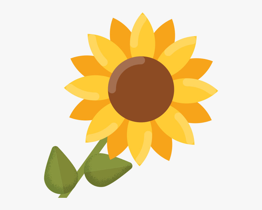 Detail Sunflower Without Background Nomer 24