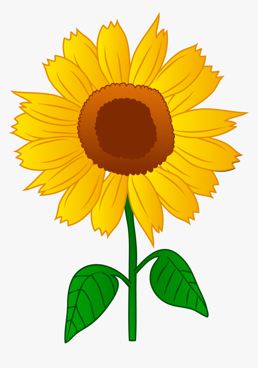 Detail Sunflower Without Background Nomer 28