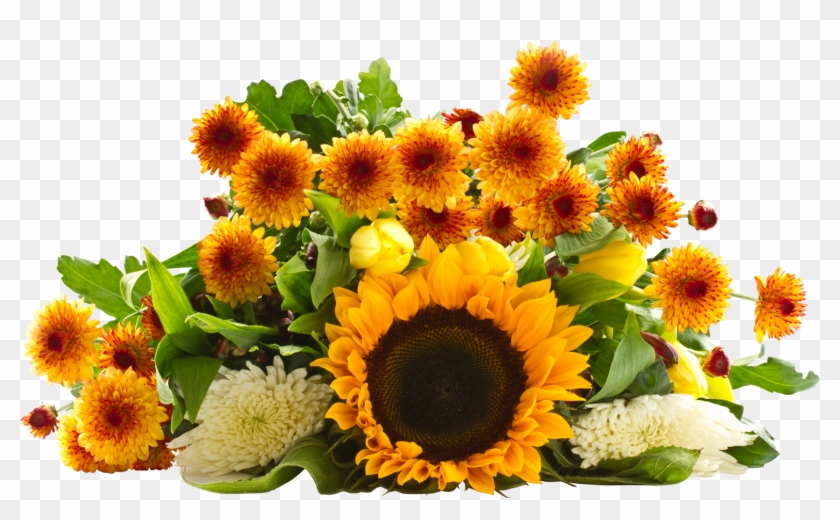 Detail Sunflower Without Background Nomer 30