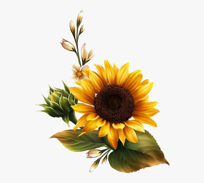 Detail Sunflowers Transparent Nomer 10