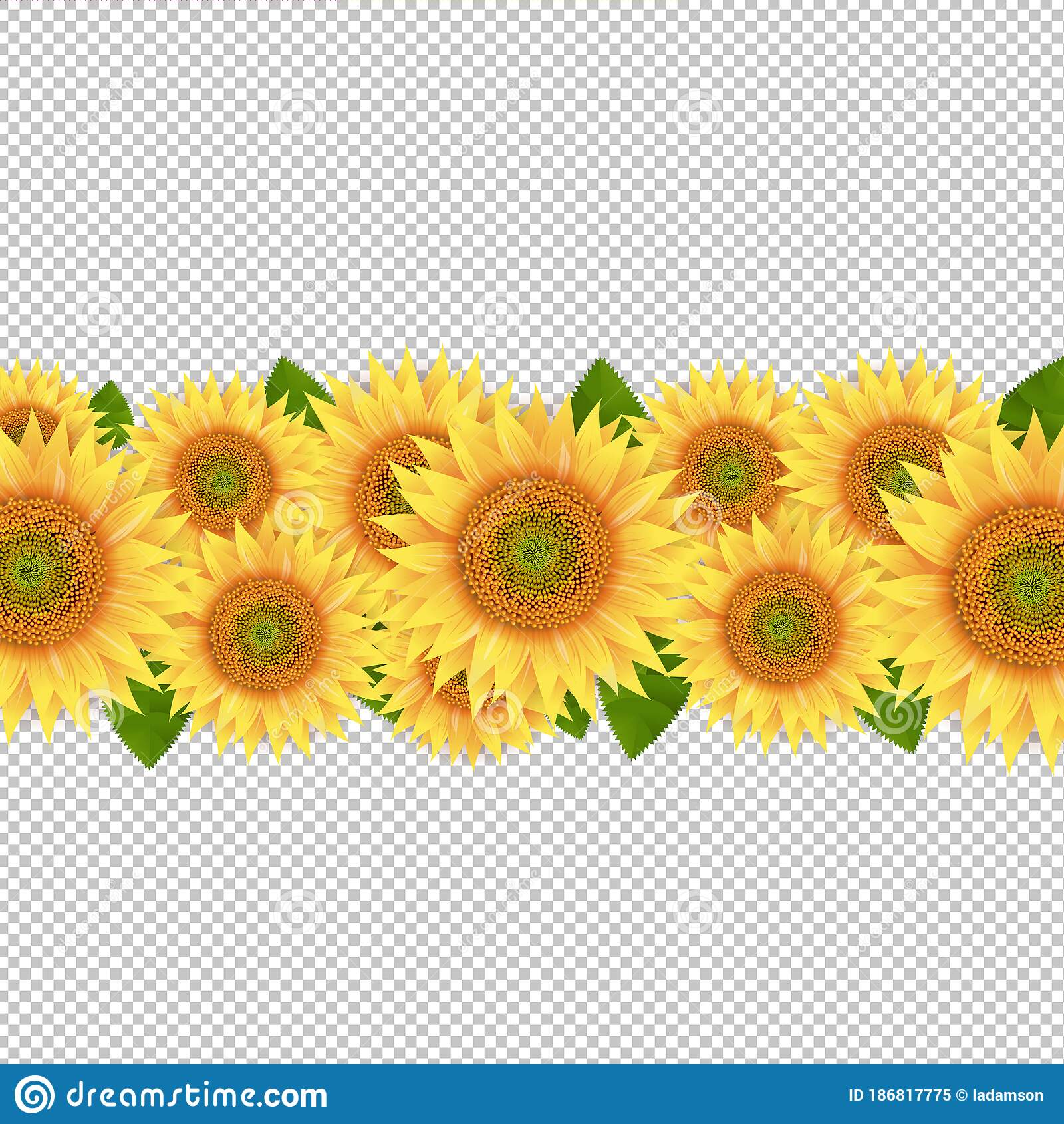 Detail Sunflowers Transparent Nomer 41