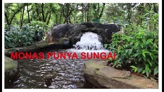 Detail Sungai Buatan Di Halaman Rumah Nomer 27