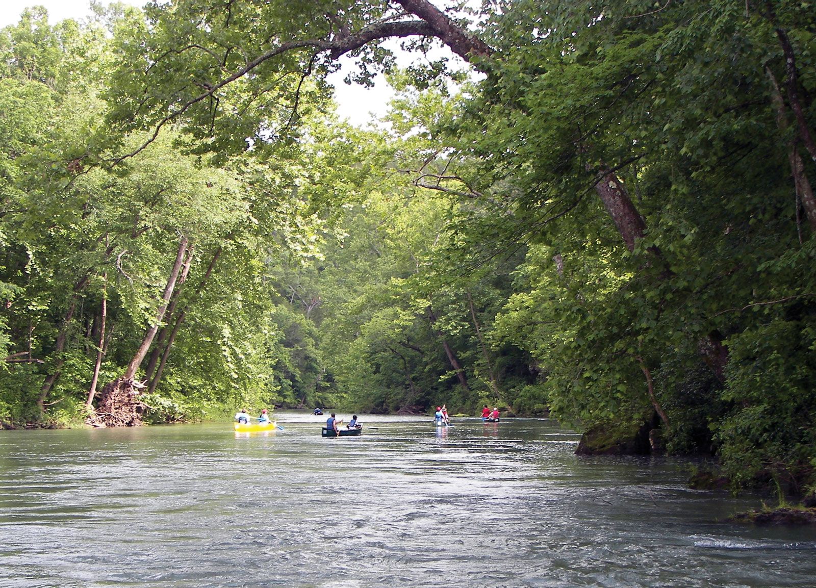 Detail Sungai Di Amerika Nomer 19