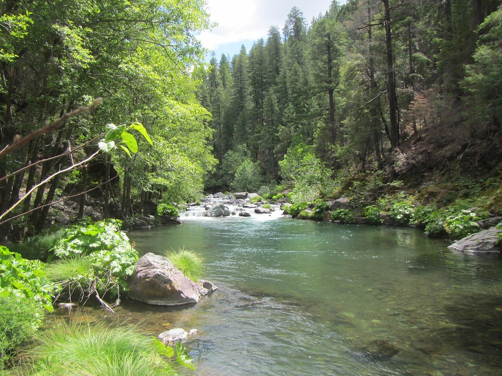 Sungai Di Hutan - KibrisPDR