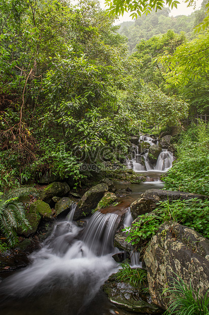 Detail Sungai Di Hutan Nomer 9