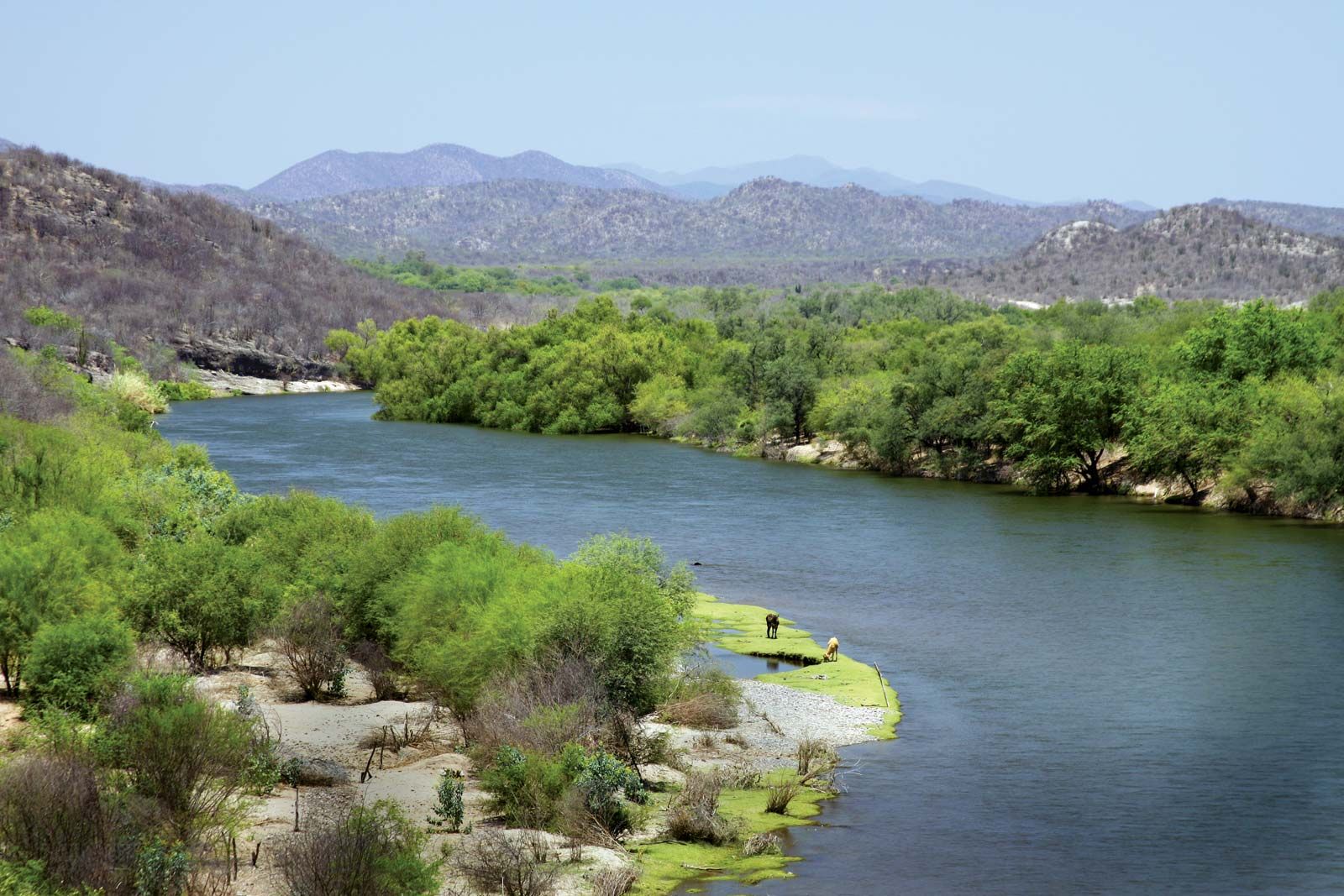 Download Sungai Di Mexico Nomer 2