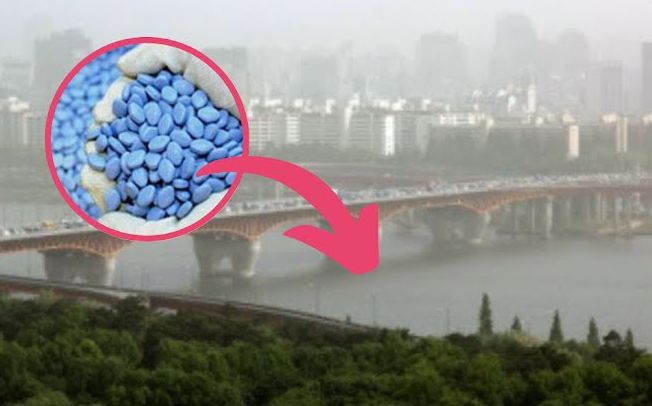 Detail Sungai Han Di Seoul Nomer 26