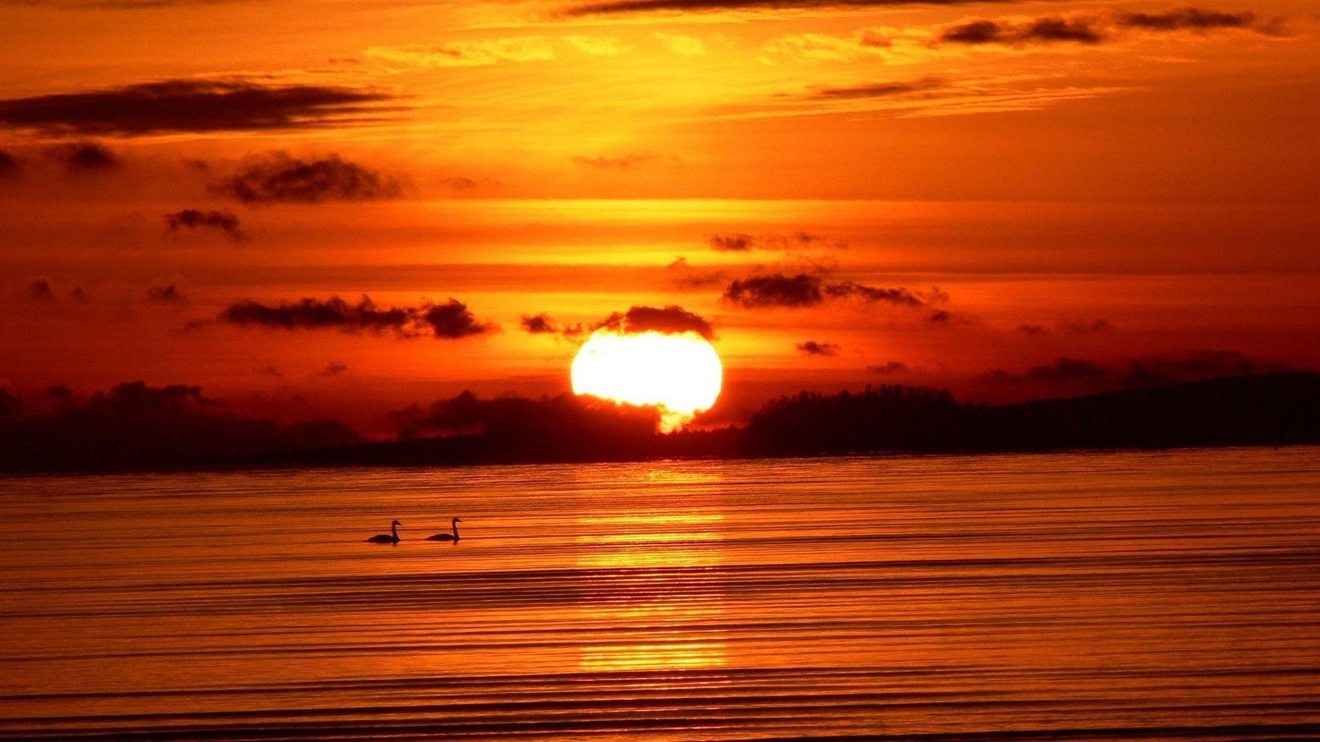 Detail Sunset Background Hd Nomer 40