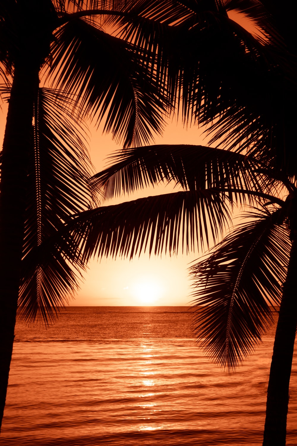 Detail Sunset Beach Wallpaper Nomer 30