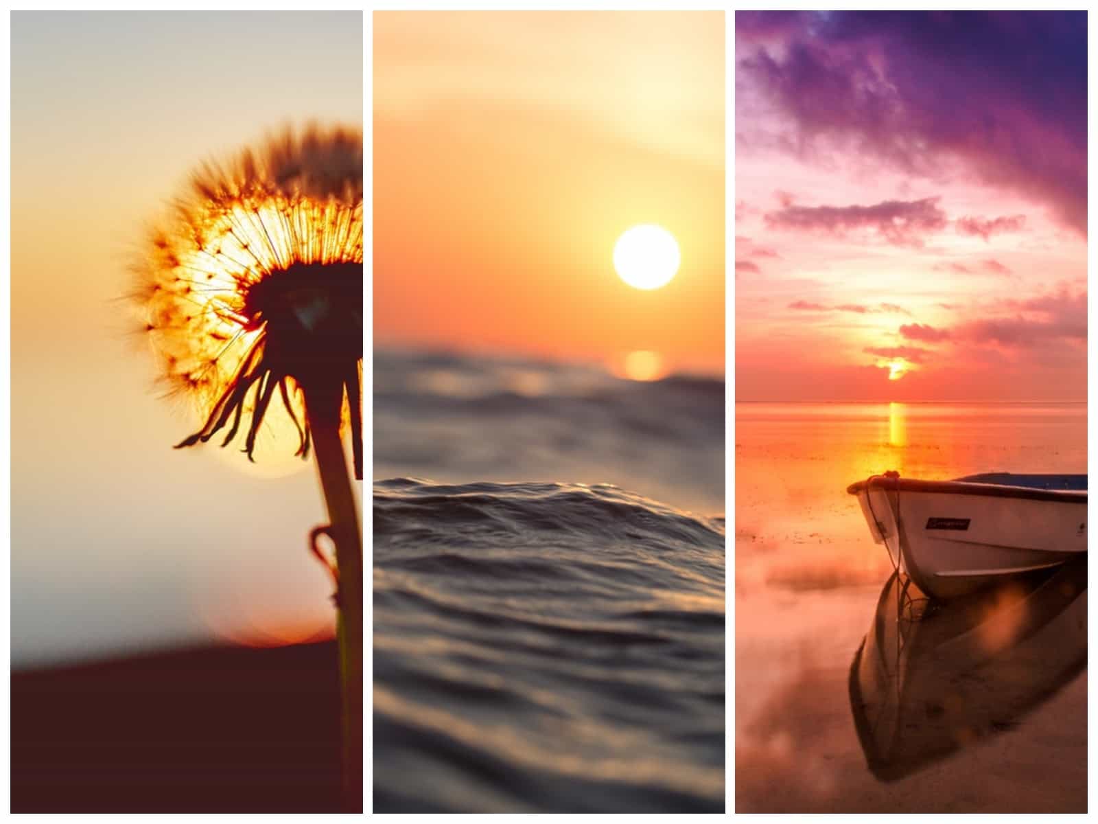 Detail Sunset Calm Quotes Nomer 39