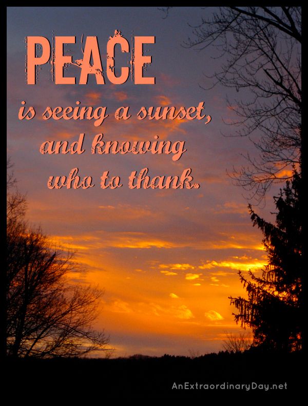 Detail Sunset Calm Quotes Nomer 6