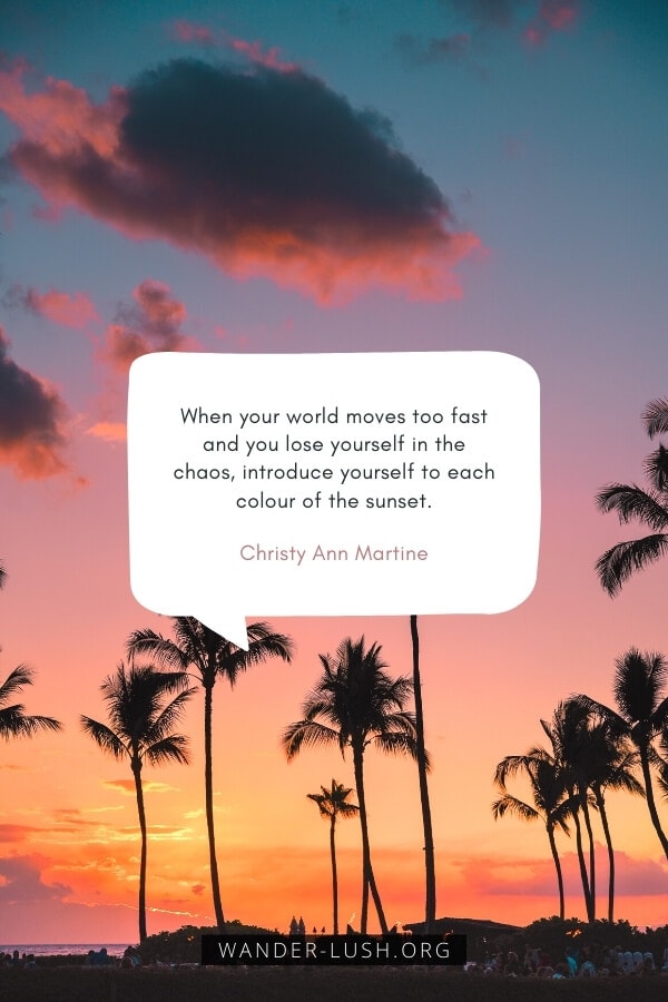 Detail Sunset Calm Quotes Nomer 9