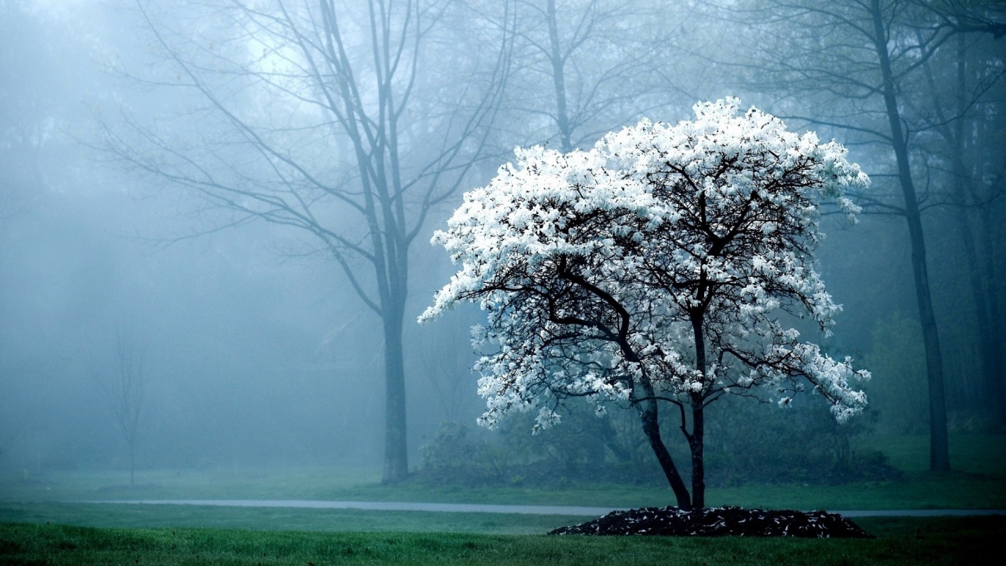 Detail Superb Wallpapers Nomer 11