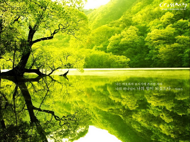 Detail Superb Wallpapers Nomer 18