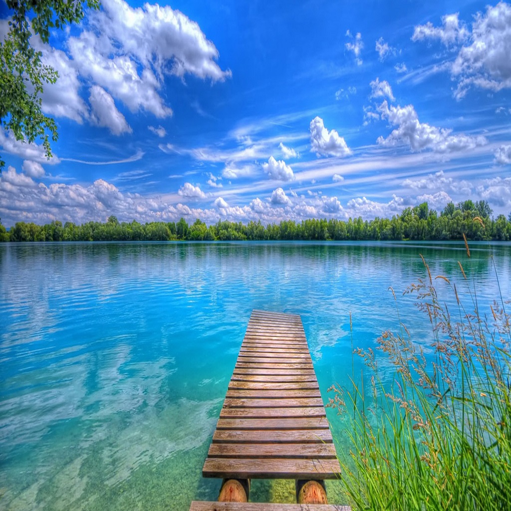 Detail Superb Wallpapers Nomer 19
