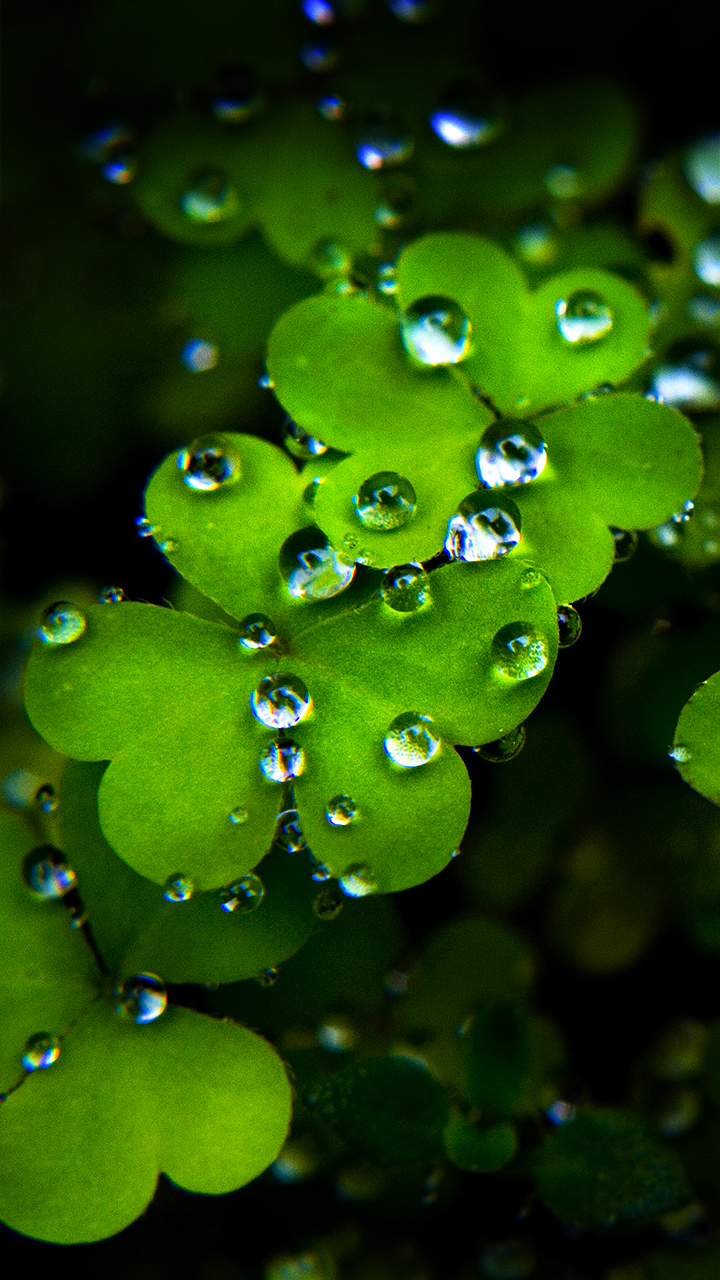 Detail Superb Wallpapers Nomer 21