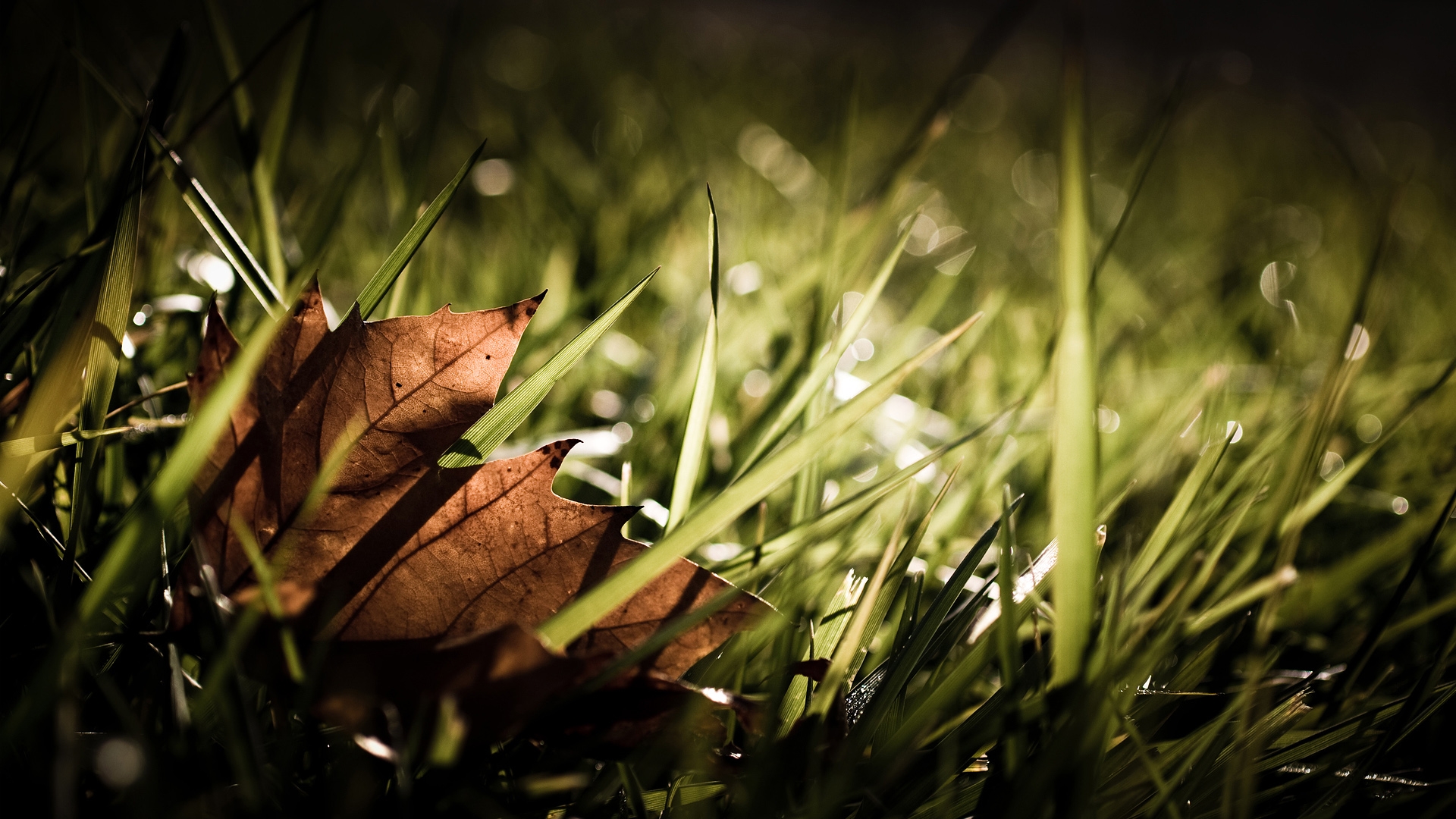 Detail Superb Wallpapers Nomer 22