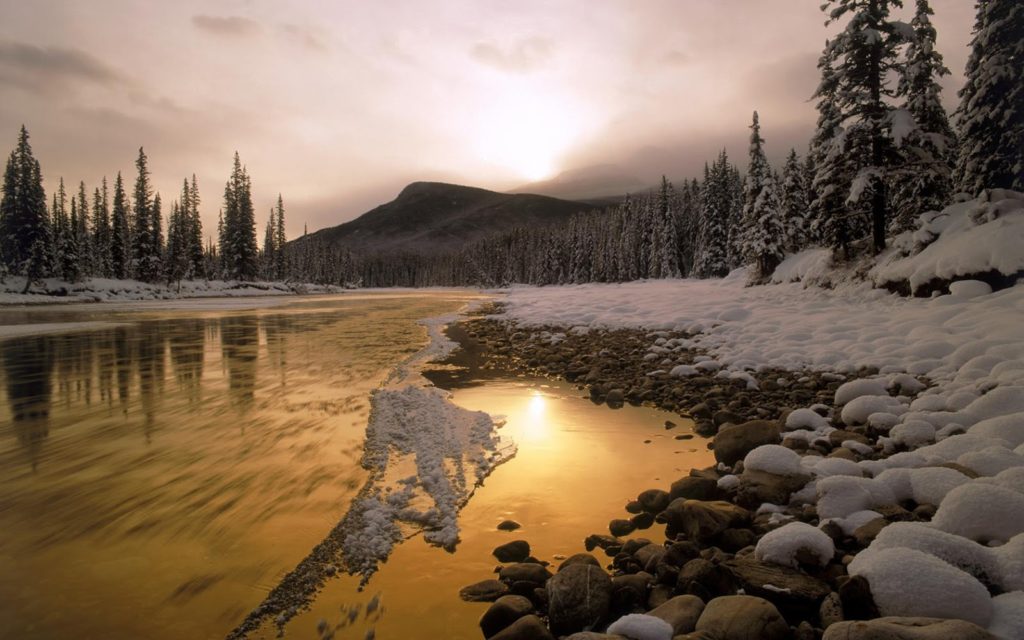 Detail Superb Wallpapers Nomer 23