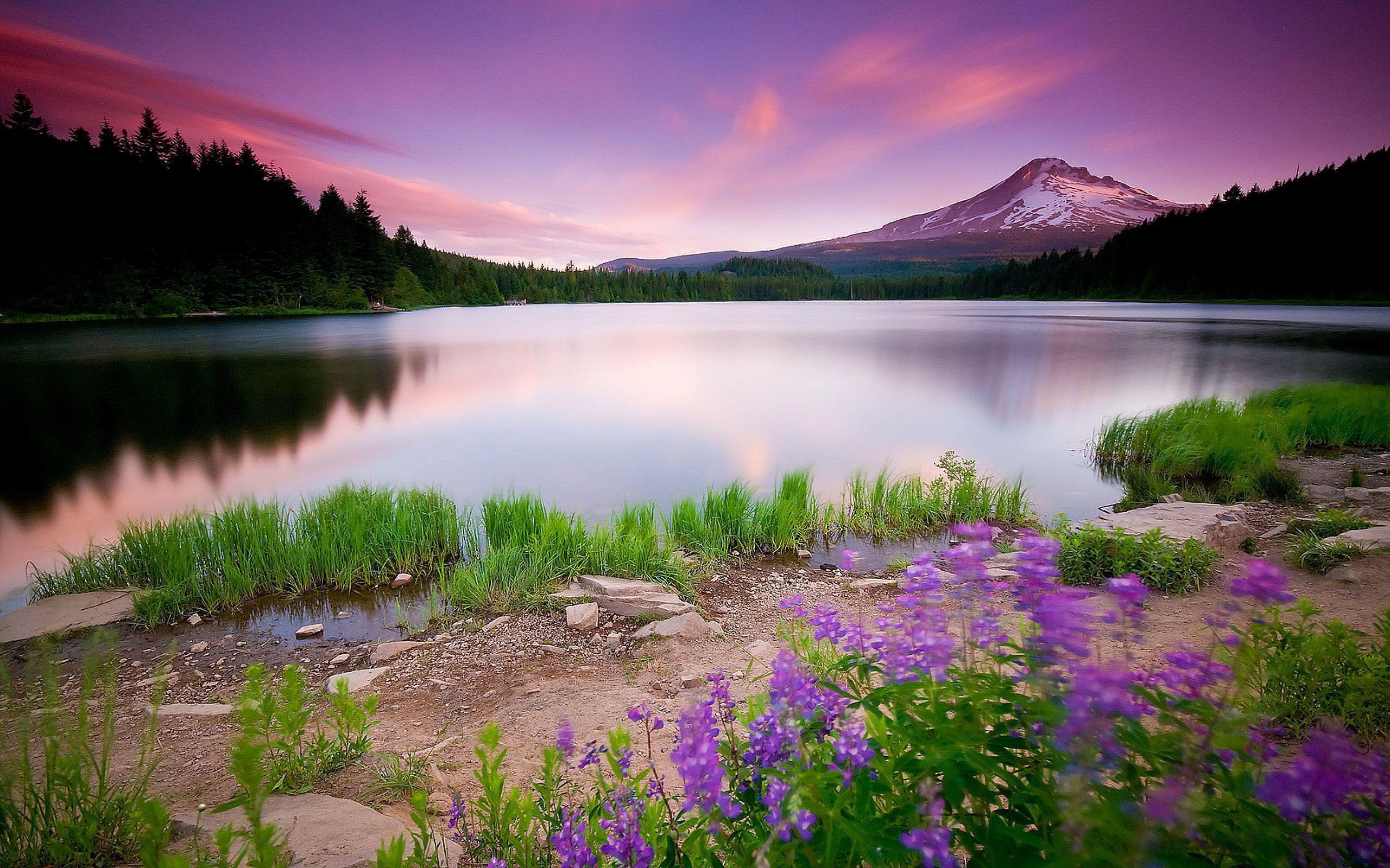 Detail Superb Wallpapers Nomer 46