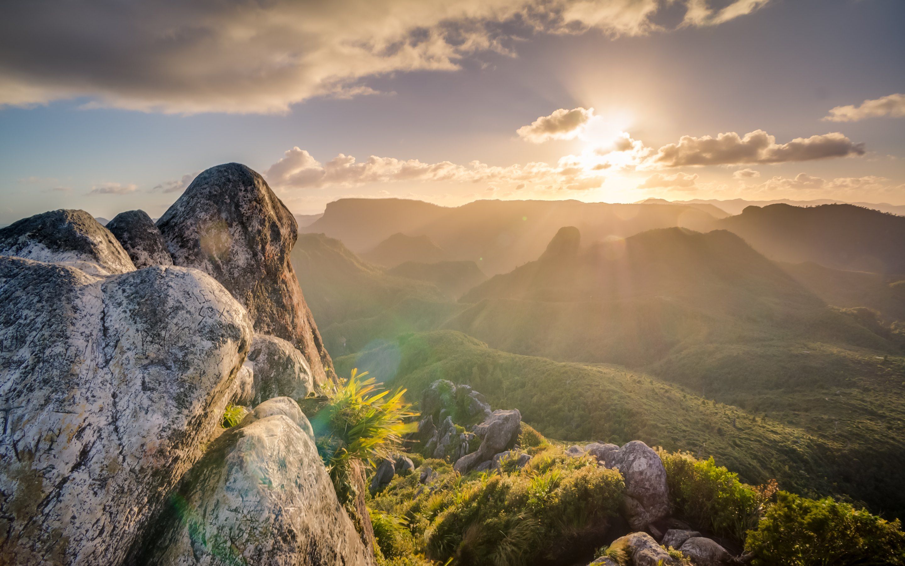 Detail Superb Wallpapers Nomer 47