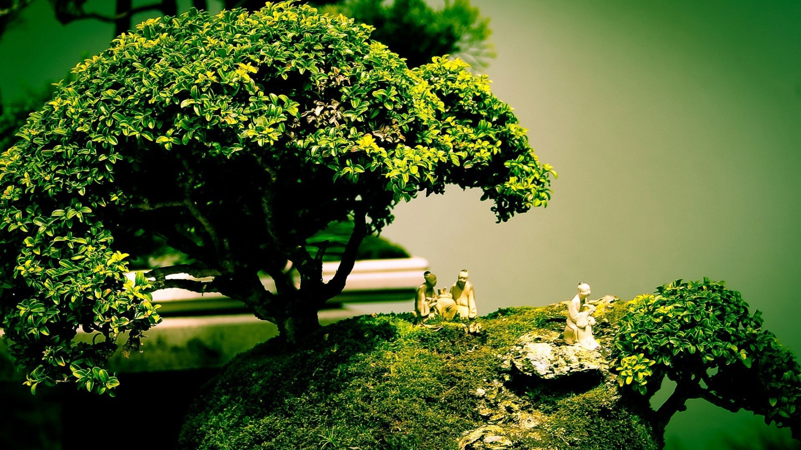 Detail Superb Wallpapers Nomer 8