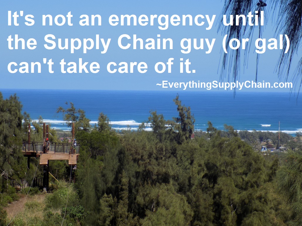 Detail Supply Chain Quotes Funny Nomer 24