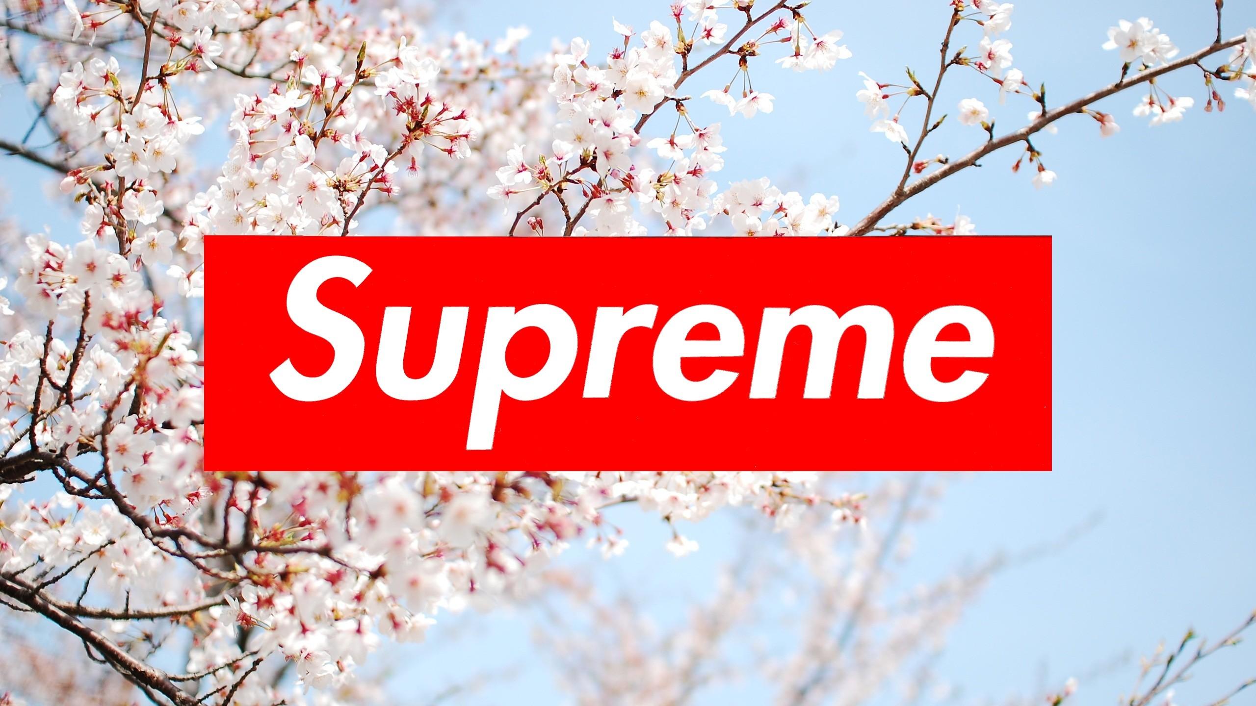 Detail Supreme Desktop Wallpaper Nomer 6