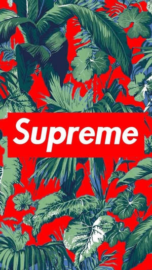 Detail Supreme Logo Wallpaper Nomer 9