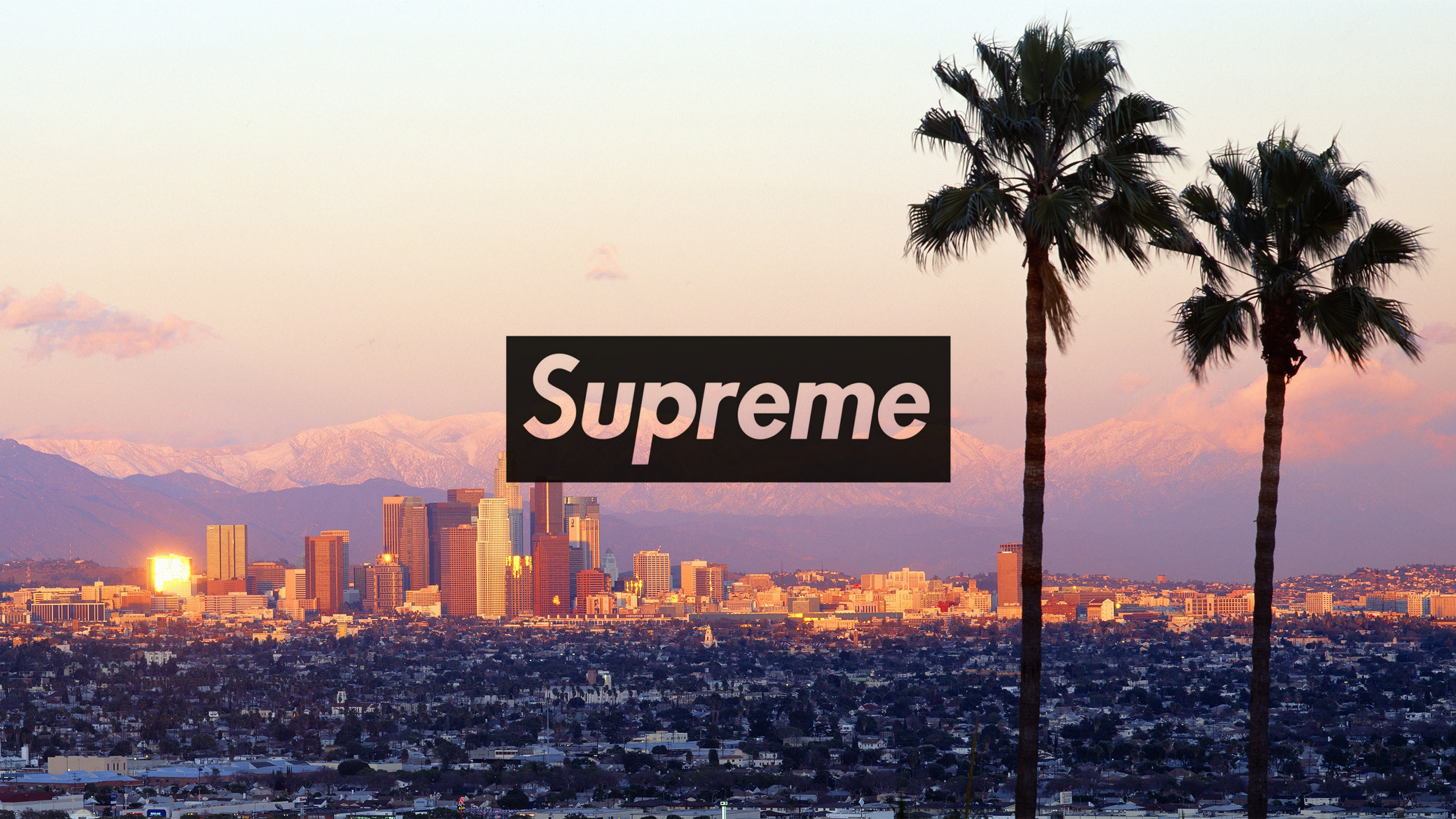 Detail Supreme Logo Wallpaper Hd Nomer 39