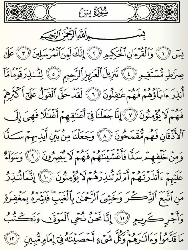 Detail Surah Atau Surat Nomer 43