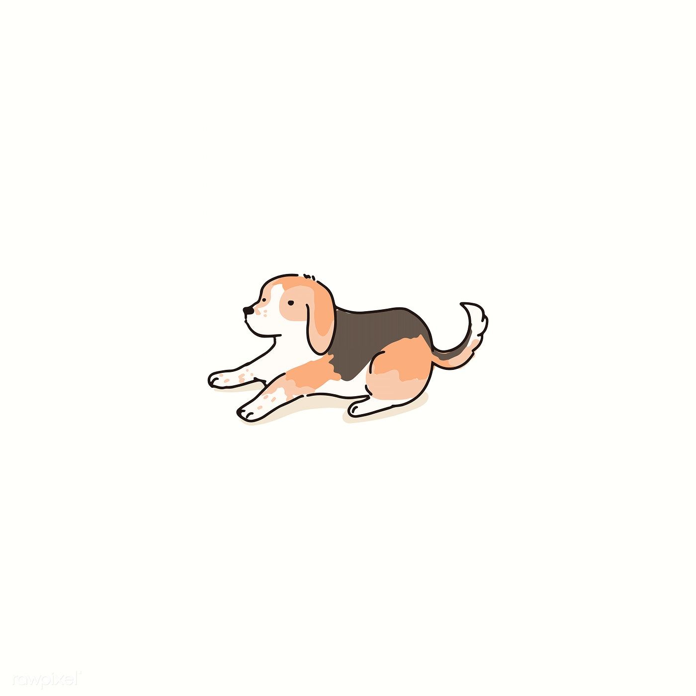 Detail Amerikanischer Beagle Nomer 20
