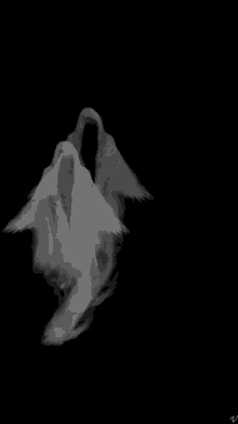 Detail Download Gambar Hantu Bergerak Nomer 41
