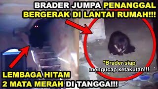 Detail Download Gambar Hantu Bergerak Nomer 54