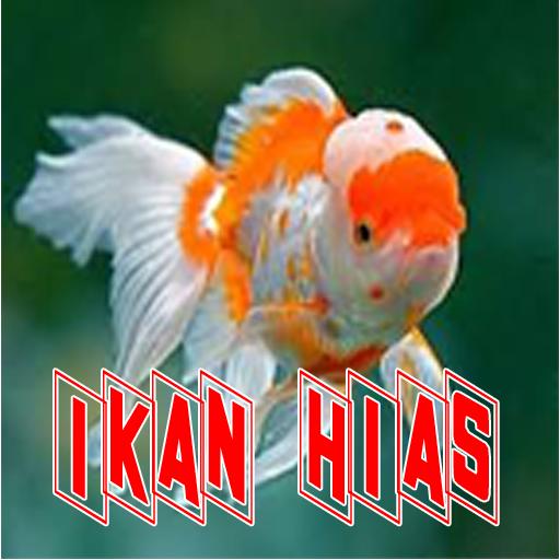 Detail Download Gambar Ikan Nomer 52