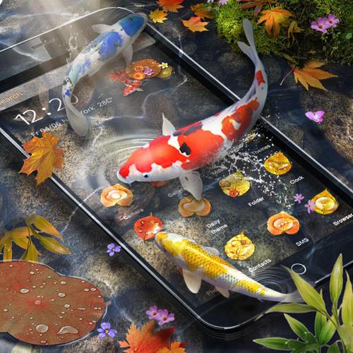 Detail Download Gambar Ikan Koi Nomer 56