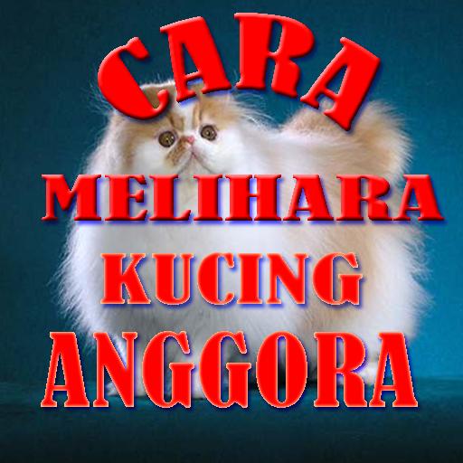 Detail Download Gambar Kucing Anggora Nomer 27