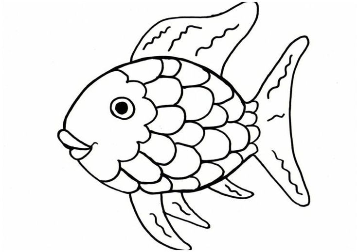 Fische Zum Ausdrucken - KibrisPDR