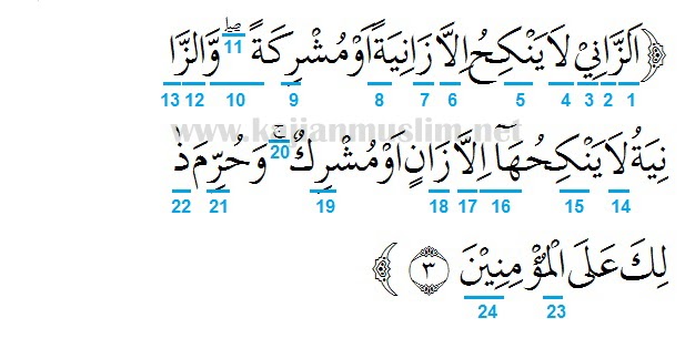 Detail Surat 15 Ayat 3 Nomer 19