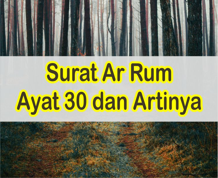 Detail Surat 30 Ayat 30 Nomer 35