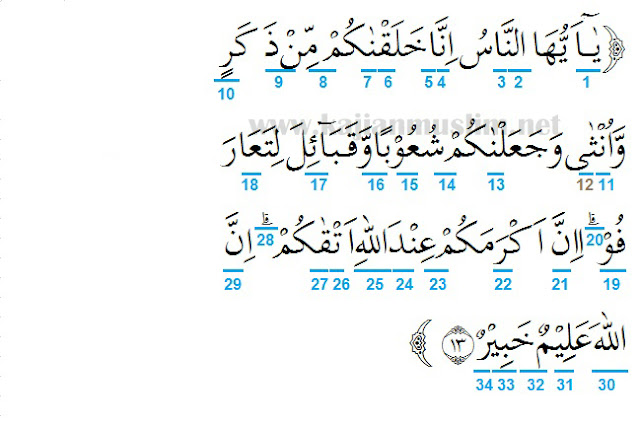 Detail Surat 49 Ayat 13 Nomer 9