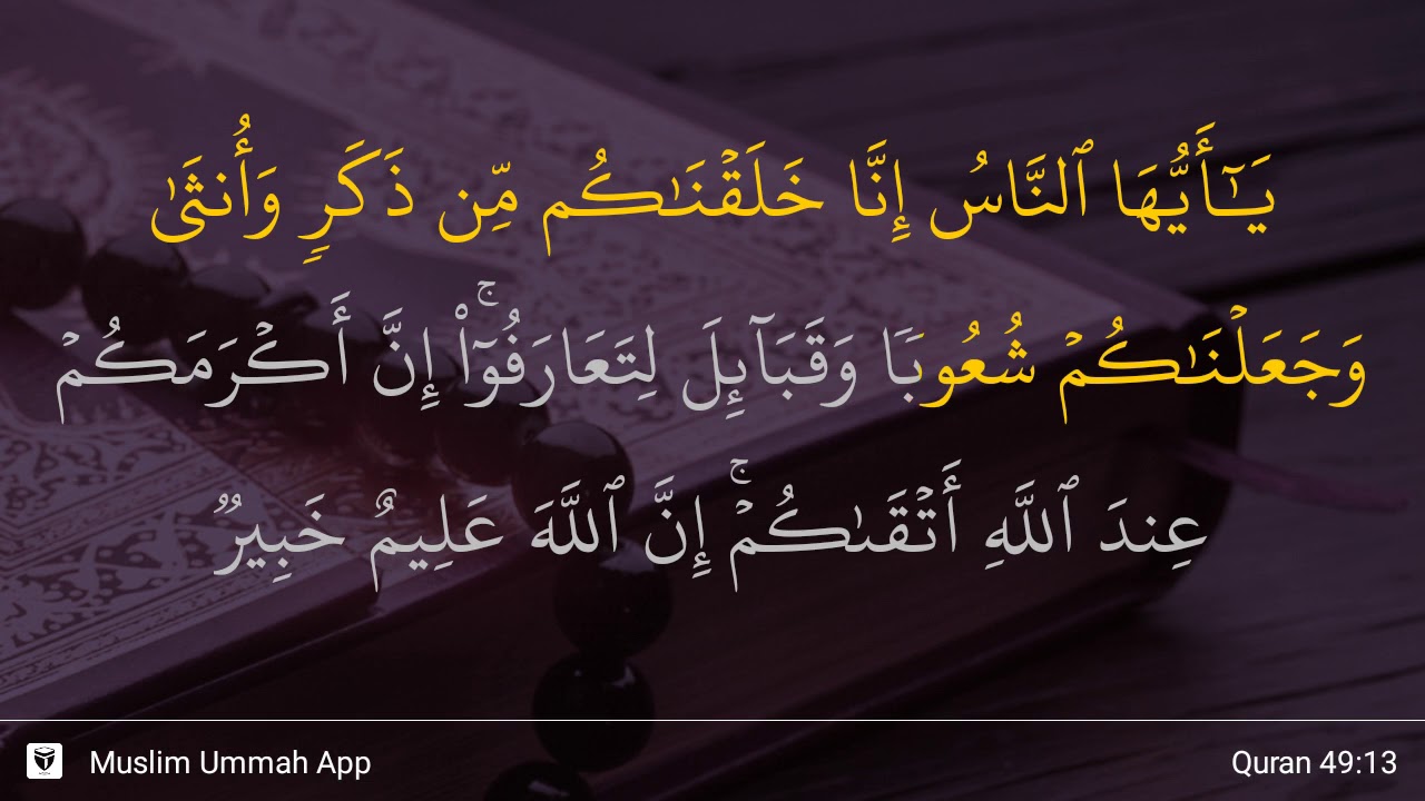 Detail Surat 49 Ayat 13 Nomer 14