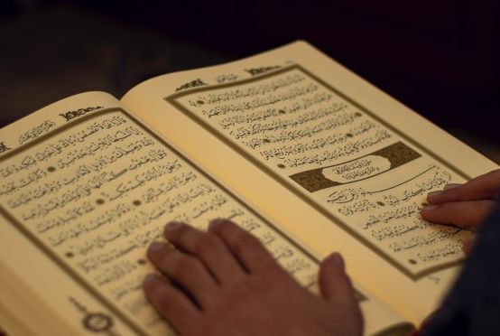 Detail Surat 49 Ayat 13 Nomer 35