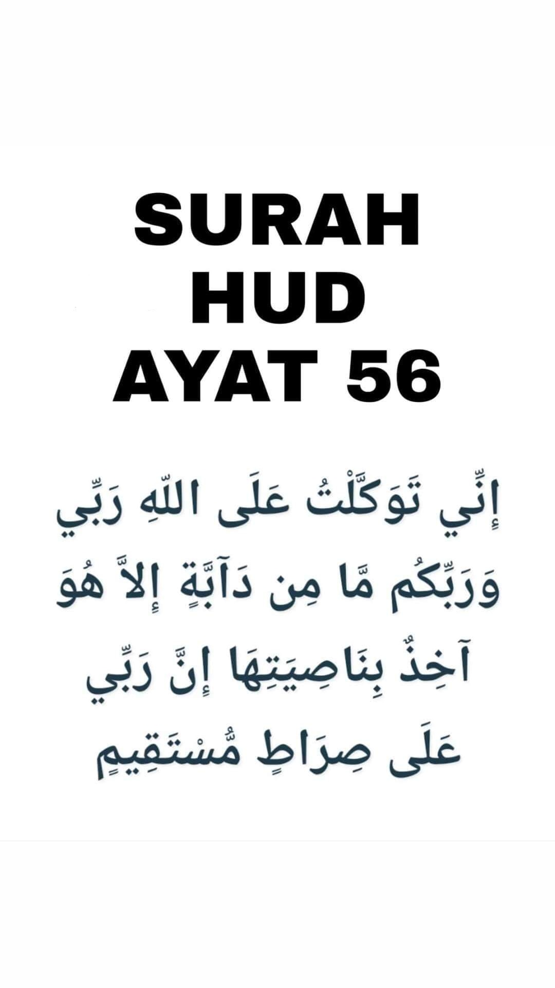 Detail Surat 51 Ayat 56 Nomer 43