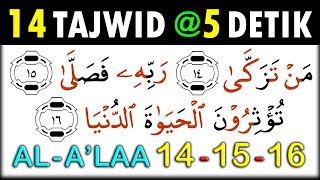 Detail Surat Al A La Nomer 13