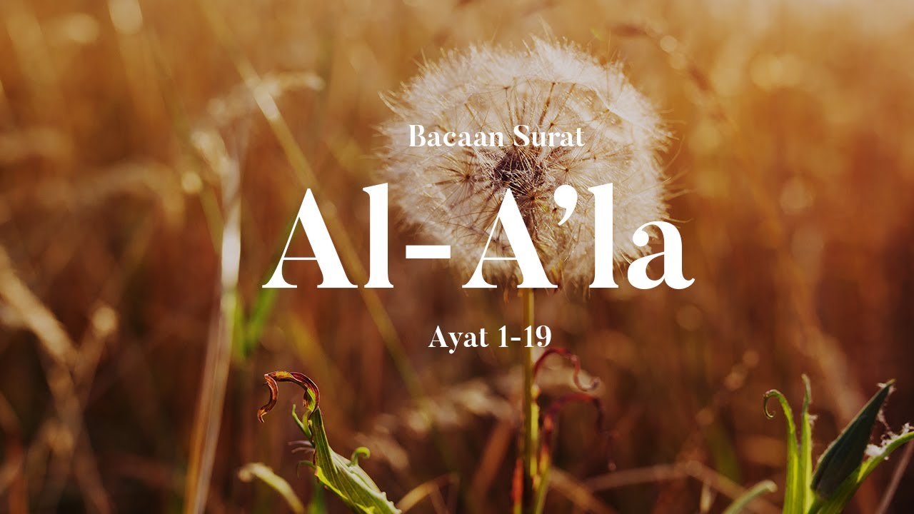 Detail Surat Al A La Ayat 1 19 Nomer 35