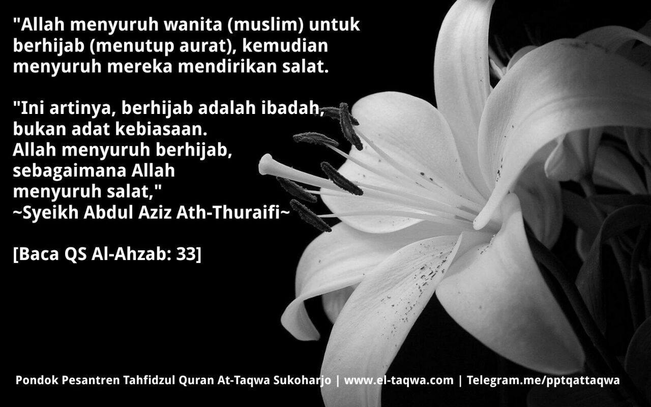 Detail Surat Al Ahzab Ayat 33 Dan Terjemahannya Nomer 12